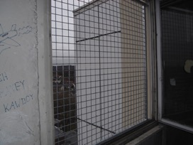 17.11.2010 004